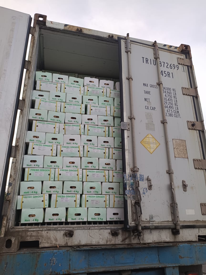 Sela operations facility showing quality control and processing activities, with staff handling tropical produce for export preparation